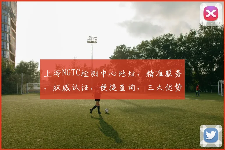 上海NGTC检测中心地址，精准服务，权威认证，便捷查询，三大优势一网打尽